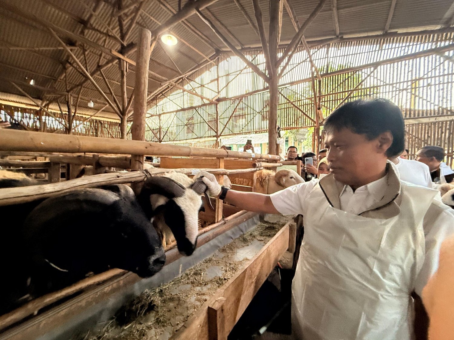 Jamin Keamanan Ibadah Kurban, Wali Kota Cirebon Tinjau Kelayakan Hewan di Lima Titik