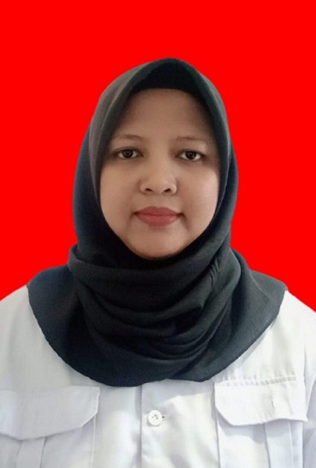 ADE NOVITA AMI