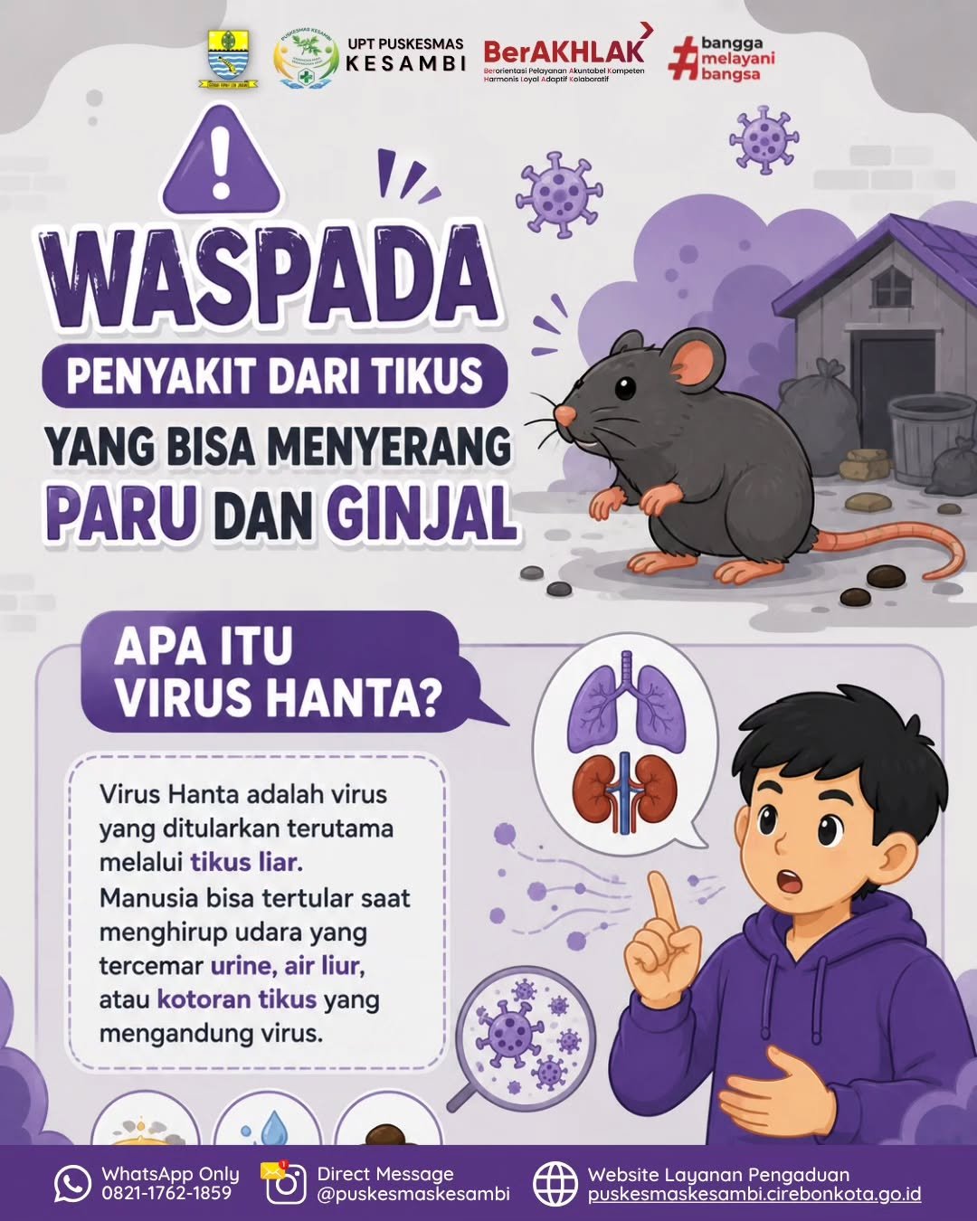 Waspada Virus Hanta! Bahaya Tersembunyi dari Tikus yang Mengancam Paru dan Ginjal